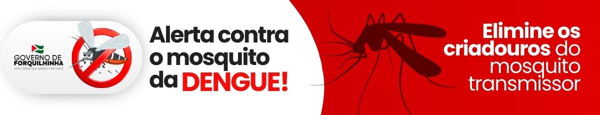 Mutirão dengue